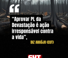“Aprovar PL da Devastação é ação irresponsável contra a vida”, diz Araújo (CUT)
