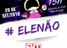 NOVE cidades de Sergipe organizam o Protesto #EleNao