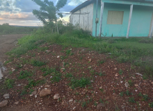 Opinião: Crime ambiental no Assentamento José Félix de Sá